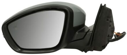 Peugeot Buitenspiegel 5402082262314P