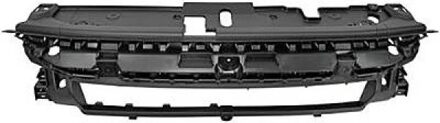 Peugeot Frame, radiateurgrille 4228039
