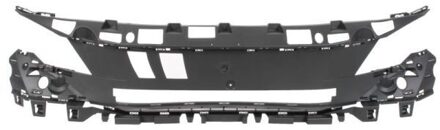 Peugeot Houder, radiateurgrille 6502075547920P