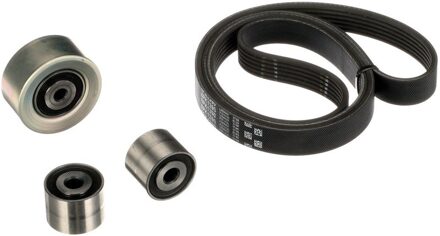 Peugeot Multiriem set