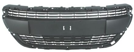 Peugeot Radiateurgrille 6502075509992PP