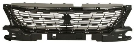 Peugeot Radiateurgrille 6502075511993P