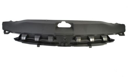 Peugeot Radiateurgrille 6502075514990Q