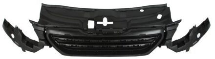 Peugeot Radiateurgrille 6502075516990P