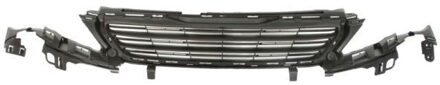 Peugeot Radiateurgrille 6502075519992P