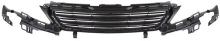 Peugeot Radiateurgrille 6502075519992Q