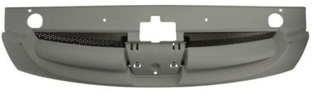 Peugeot Radiateurgrille 6502075561990P