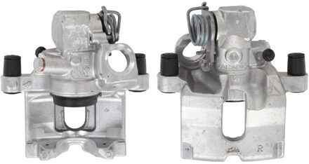 Peugeot Remklauw 24338770905