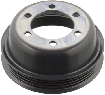 Peugeot Riemschijf 102045