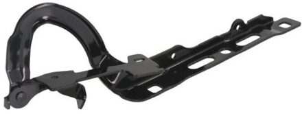 Peugeot Scharnier, motorkap 6802005509452P