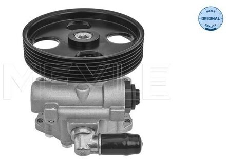 Peugeot Servo pomp 11146310002