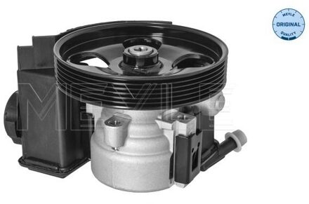 Peugeot Servo pomp 11146310017