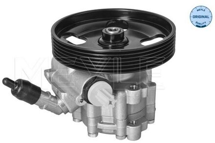 Peugeot Servo pomp 11146310019