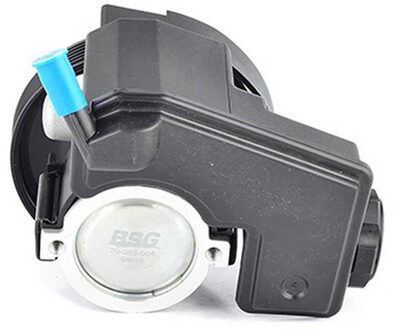 Peugeot Servo pomp BSG70355004
