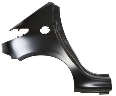 Peugeot Spatbord 6504015507514P