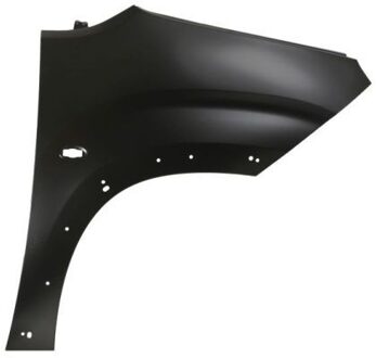Peugeot Spatbord 6504040554314Q