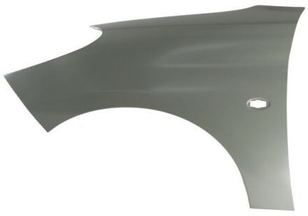 Peugeot Spatbord 6504045507313P