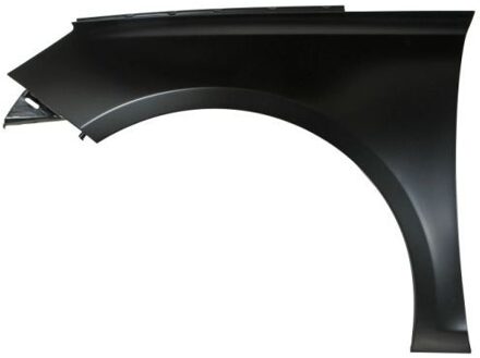 Peugeot Spatbord 6504045519313P