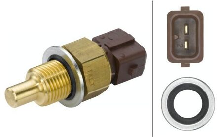 Peugeot Temperatuursensor