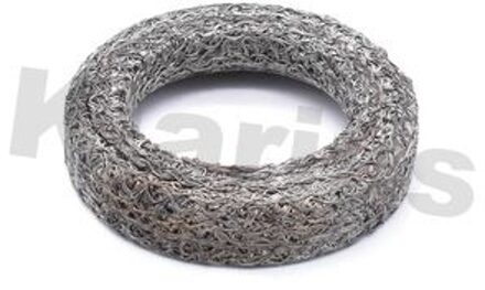 Peugeot Uitlaatpakking 410280