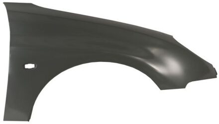 Peugeot Voorspatbord Rechts 6504045507316P