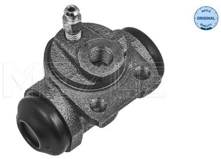 Peugeot Wielremcilinder 11145310002