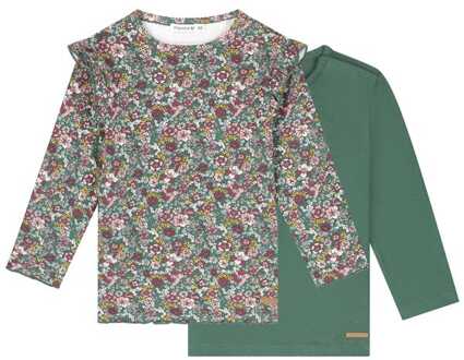 peuter shirts 2 stuks