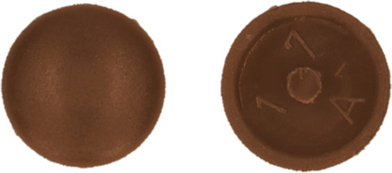 PGB-FASTENERS | Afdekkap met pin (12/2,5/6) R8011 0AFD01N00012080115