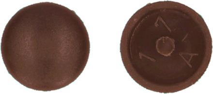 PGB-FASTENERS | Afdekkap met pin (12/2,5/6) R8016 0AFD01N00012080165