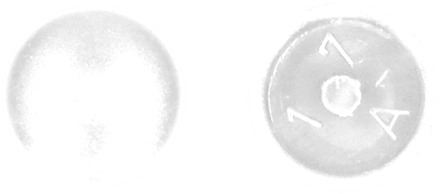 PGB-FASTENERS | Afdekkap met pin (12/2,5/6) R9010 0AFD01N00012090105