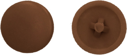 PGB-FASTENERS | Afdekkap PZ 2 (12mm) R8011 0AFD02N00002080115