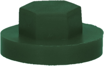 PGB-FASTENERS | Afdekkap zeskant SW 3/8" (16mm) R6012 0AFD06N00001660125