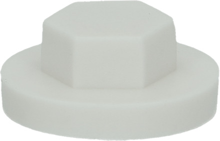 PGB-FASTENERS | Afdekkap zeskant SW 3/8" (16mm) R7035 0AFD06N00001670355