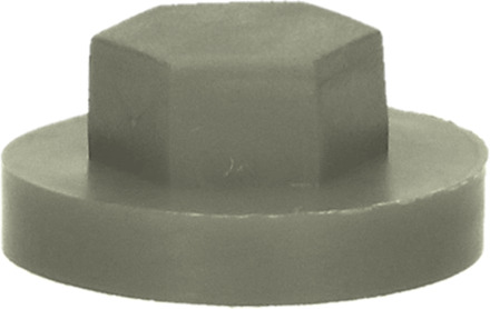 PGB-FASTENERS | Afdekkap zeskant SW 3/8" (16mm) R7037 0AFD06N00001670375