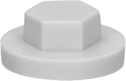 PGB-FASTENERS | Afdekkap zeskant SW 3/8" (16mm) R7047 0AFD06N00001670475