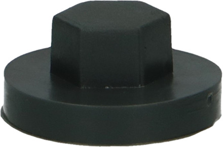 PGB-FASTENERS | Afdekkap zeskant SW 5/16" (16mm) R7016 0AFD05N00016070165