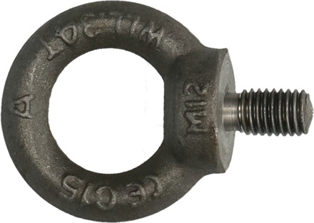 PGB-FASTENERS | Oogbout C15E DIN 580 M 6 | 100 st 58000000603