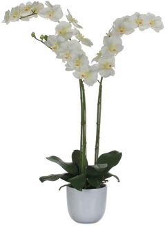 Phalaenopsis Kunstplant in Bloempot Wit