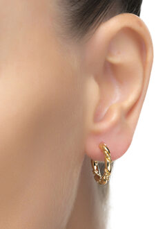 phiaken oorbellen afgewerkt in 18 karaat geel goud