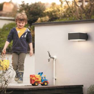 Philips buitenwandlamp Hedgehog, antraciet, set van 2 antraciet, wit