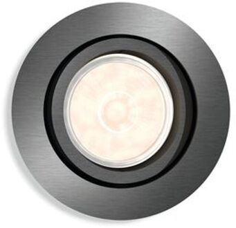 Philips Donegal - Inbouwspot - 1 Lichtpunt - grijs