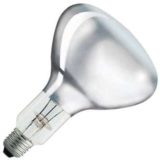 Philips | Halogeen Reflectorlamp | Grote Fitting E27 | 300W