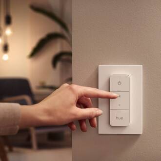 Philips Hue Being Hanglamp - incl. dimmer switch Zilver