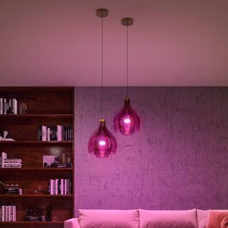 Philips Hue LED lamp 2x E27 8,1 W CCT RGB Bridge Pro