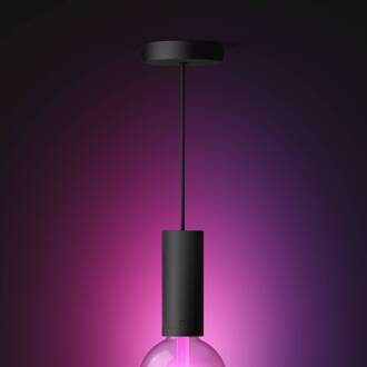 Philips Hue Lightguide Hanglamp E27 Zwart