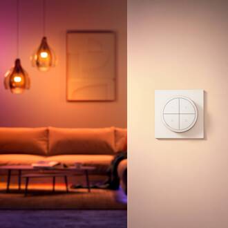 Philips Hue Tap dial switch Wit