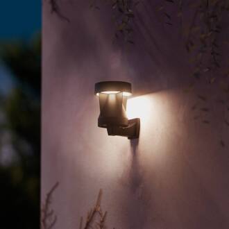 Philips LED buiten wandlamp Avery, zwart, IP44