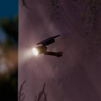 Philips LED-buitenspot Ashlyn, zwart, IP44