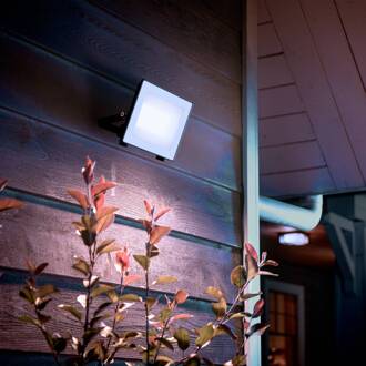 Philips LED-buitenspot Lois UE flood, 14 W, 5.000 K, IP65 antraciet, wit