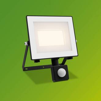 Philips LED-buitenspot Lois UE Sensor, 14 W, 3.000 K IP65 antraciet, wit